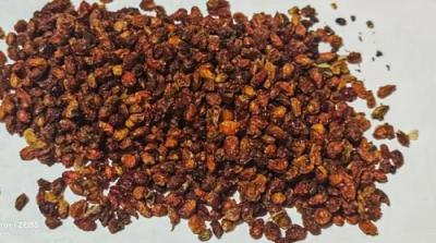Sea Buckthorn Seeds